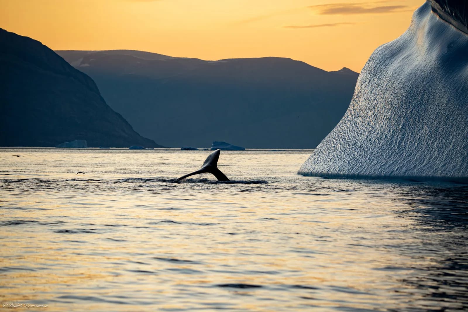 Midnatssol i Uummannaq