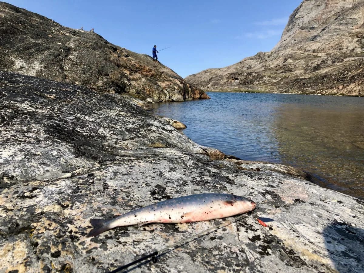 Dybhavsfiskeri i Uummannaq