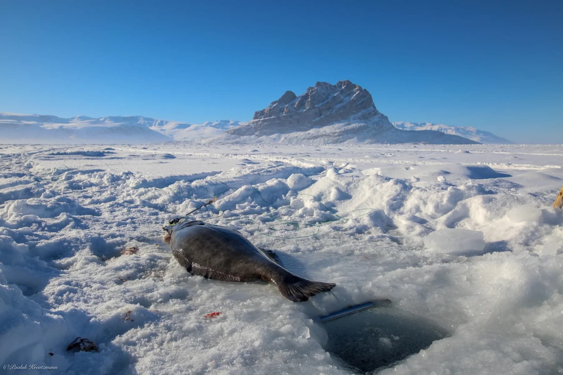 Foto fra Uummannaq 10