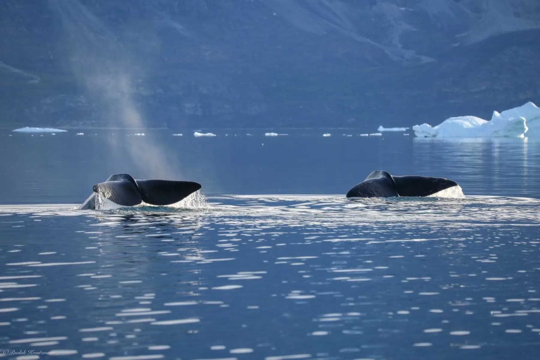 Foto fra Uummannaq 16